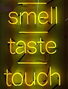 Smell, taste, touch - Autism Friendly Initative